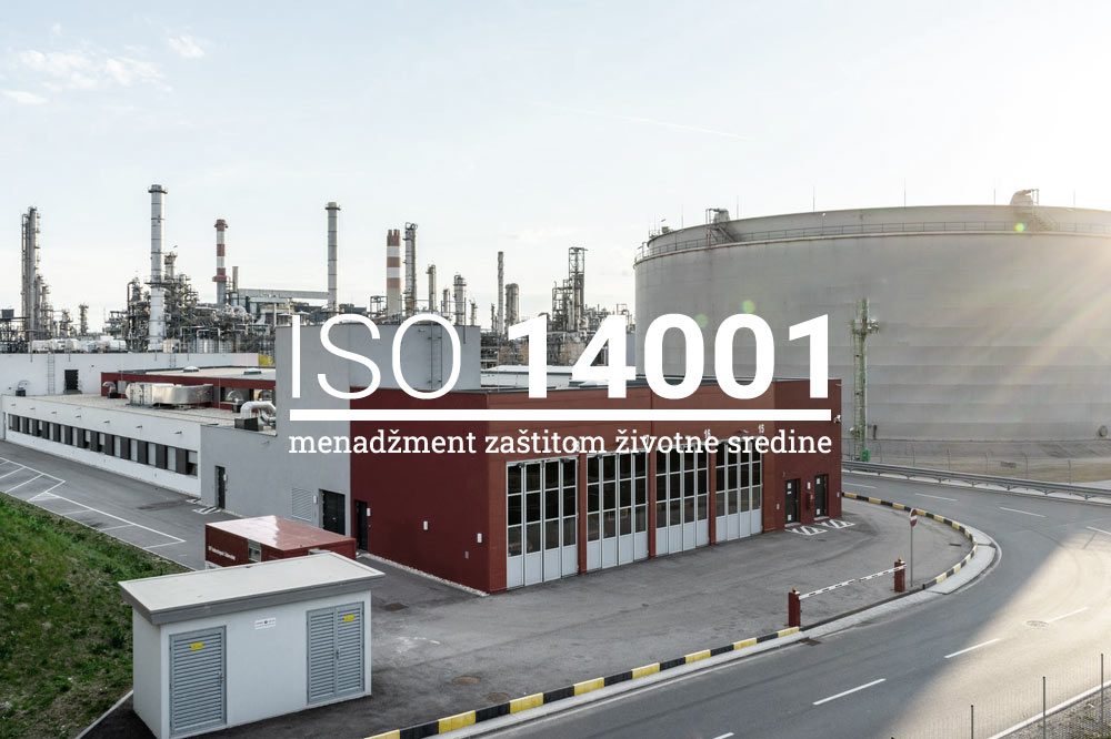 iso 14001 standard srbija